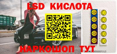 spice Камышлов