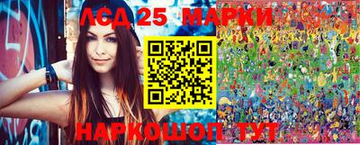 spice Камышлов