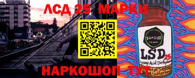 прущие грибы Канаш