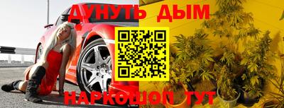 прущие грибы Канаш