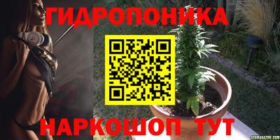 прущие грибы Канаш