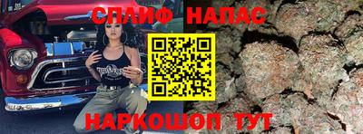 прущие грибы Канаш