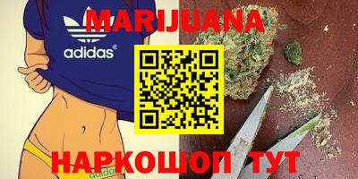 прущие грибы Канаш