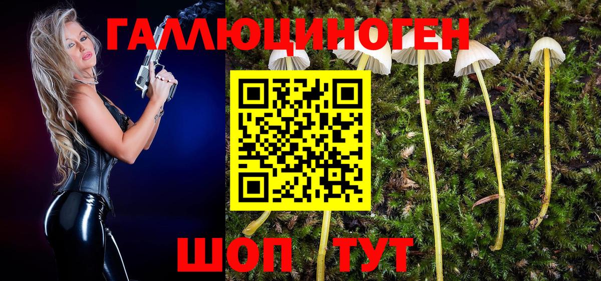 Красноярск  Псилоцибиновые грибы GOLDEN TEACHER  Вход с VPN  Псилоцибиновые грибы мухоморы 