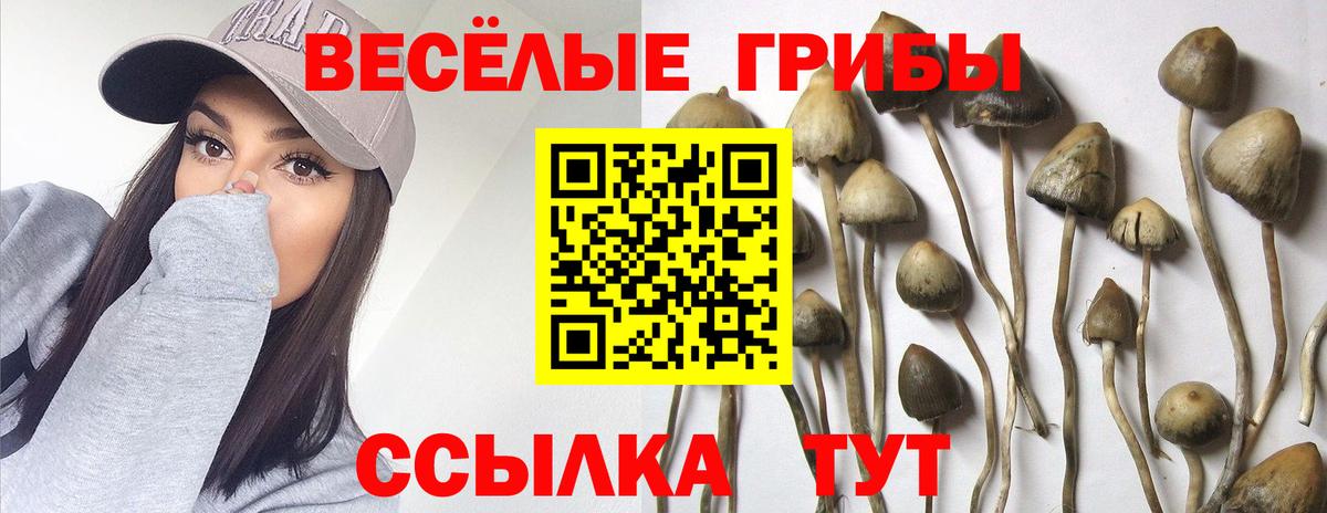 Галлюциногенные грибы ЛСД Красноярск